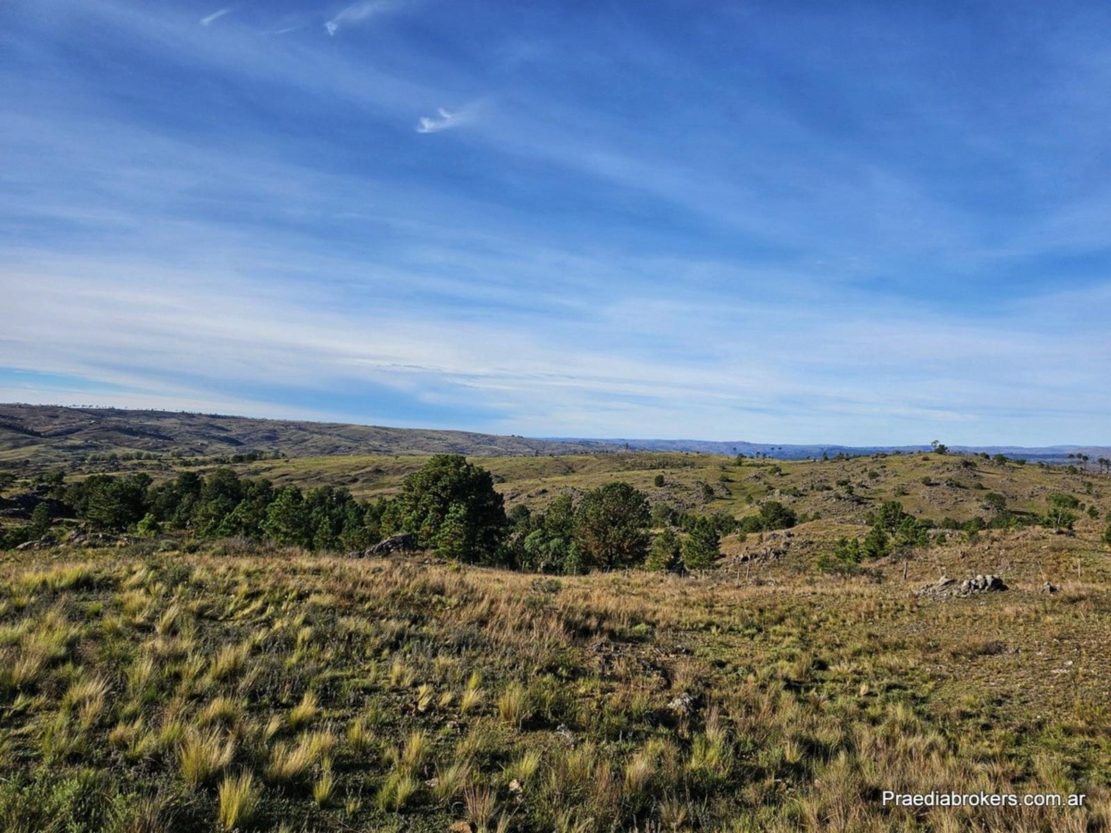 Villa Yacanto · Calamuchita — foto 15