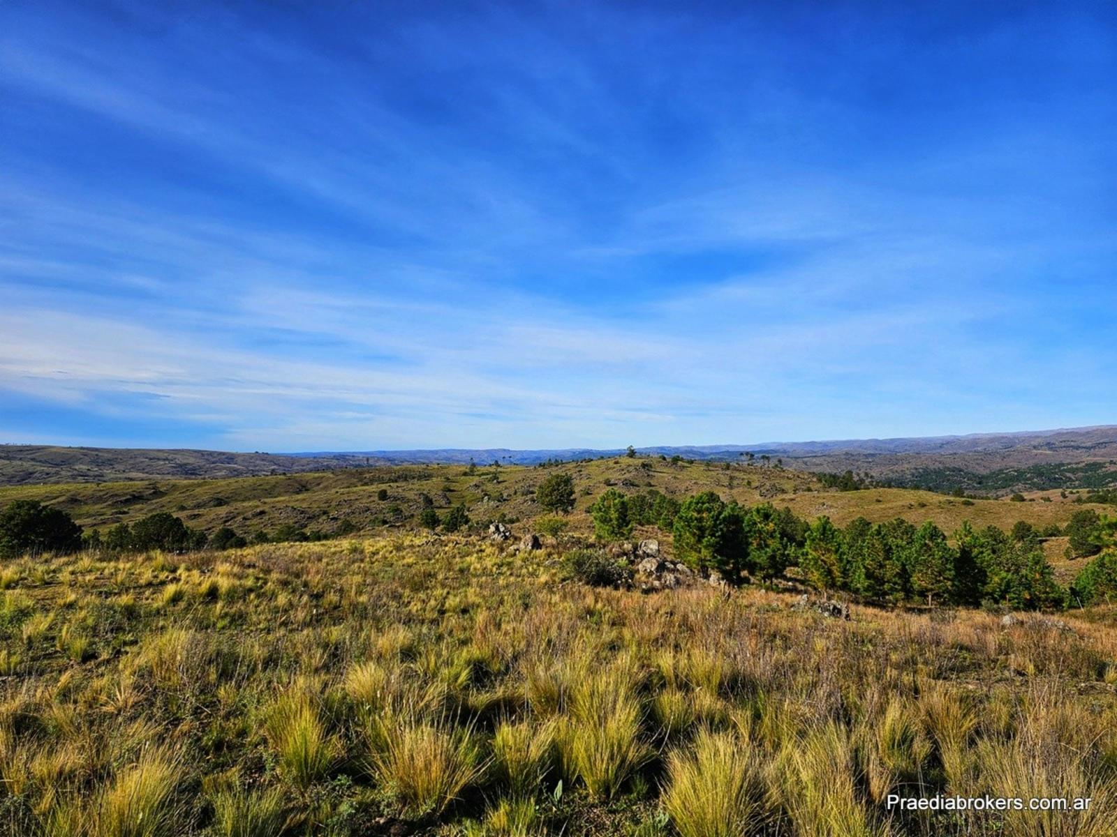 Villa Yacanto · Calamuchita — foto 21