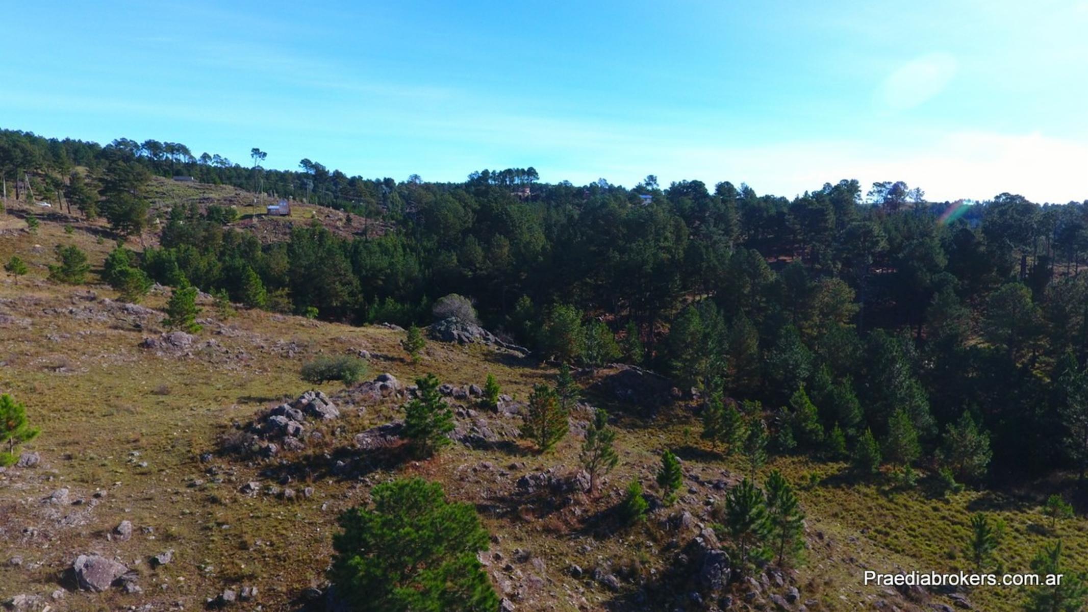 Villa Yacanto · Calamuchita — foto 34