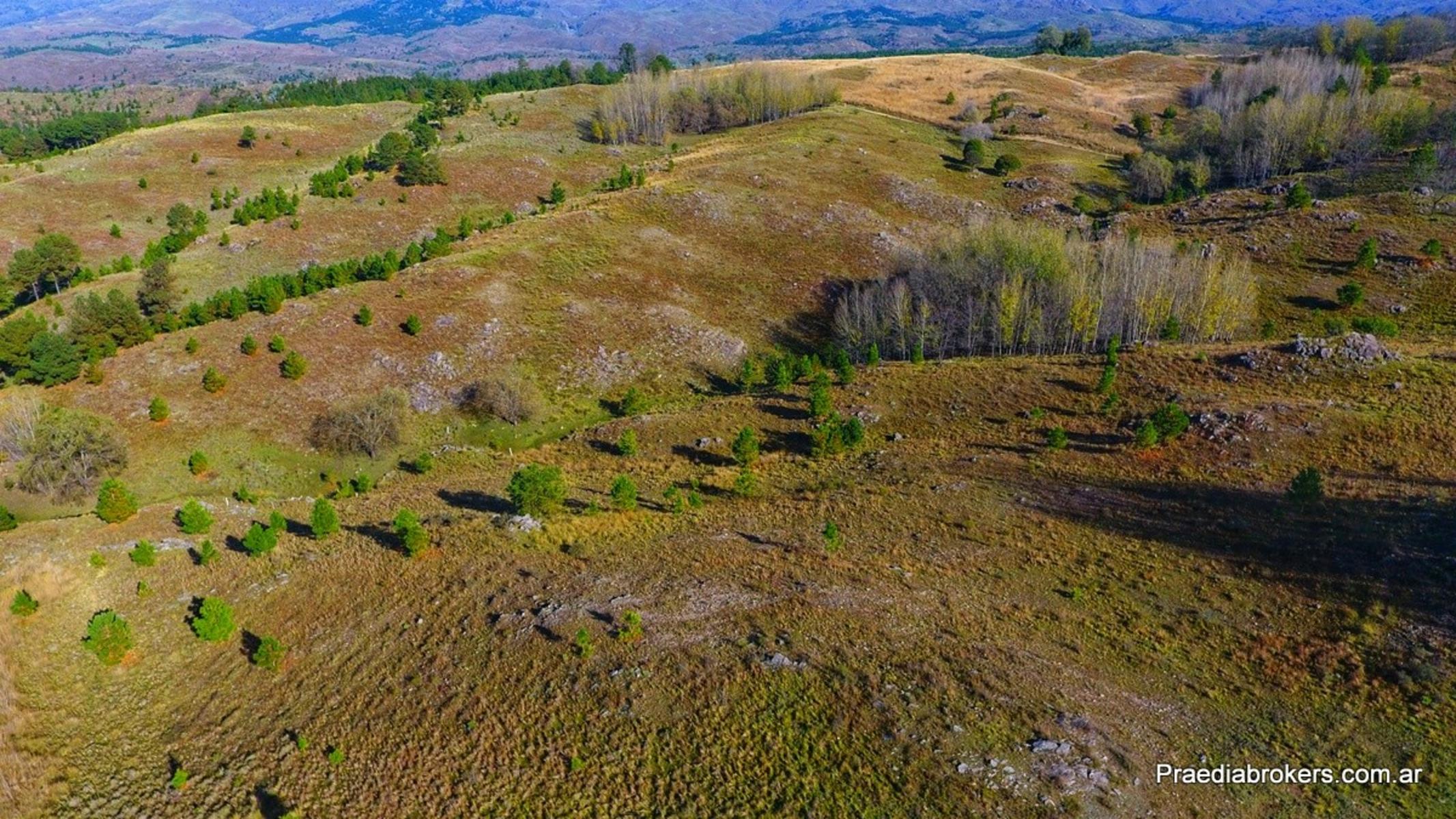 Villa Yacanto · Calamuchita — foto 36