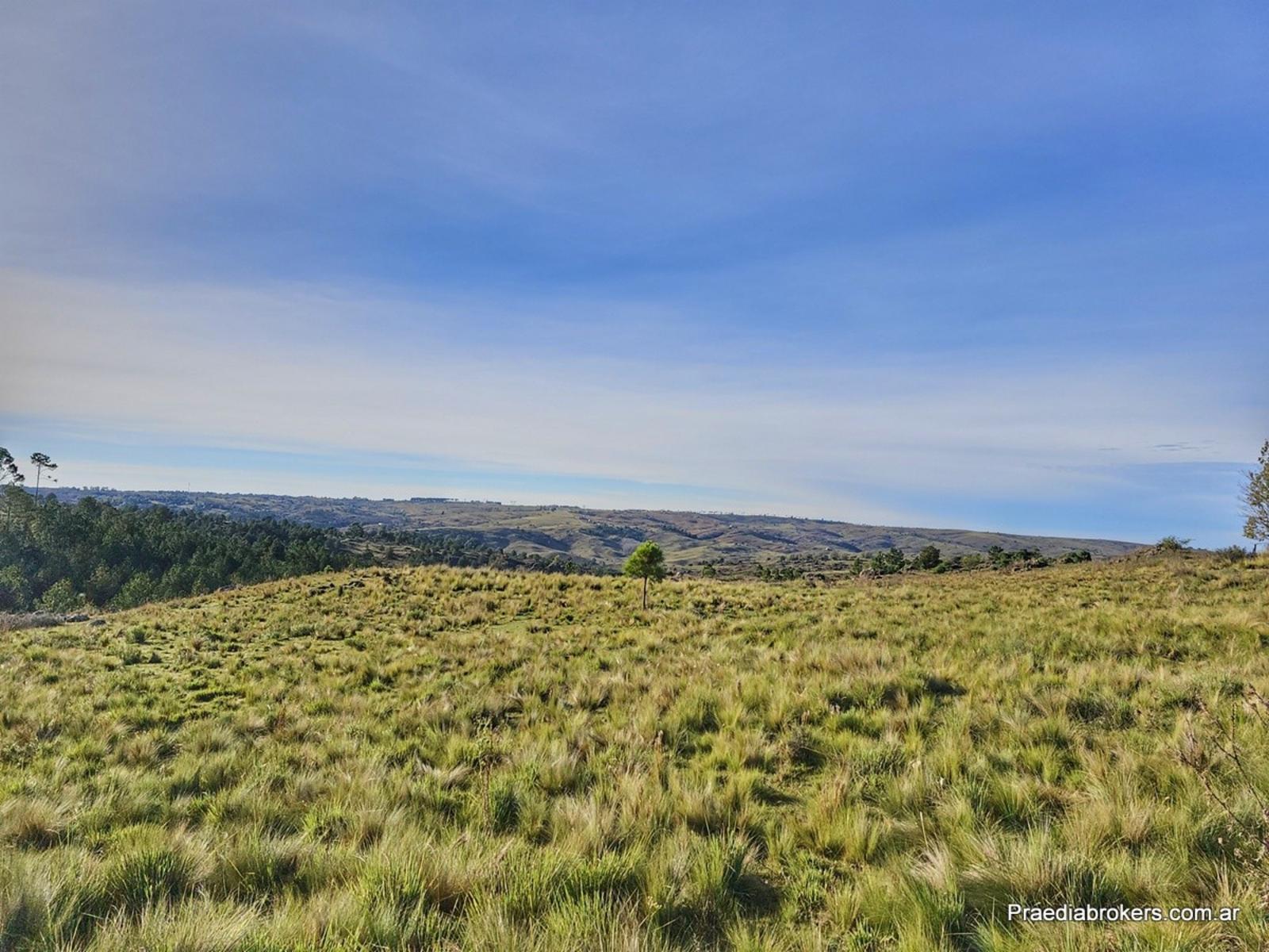 Villa Yacanto · Calamuchita — foto 9