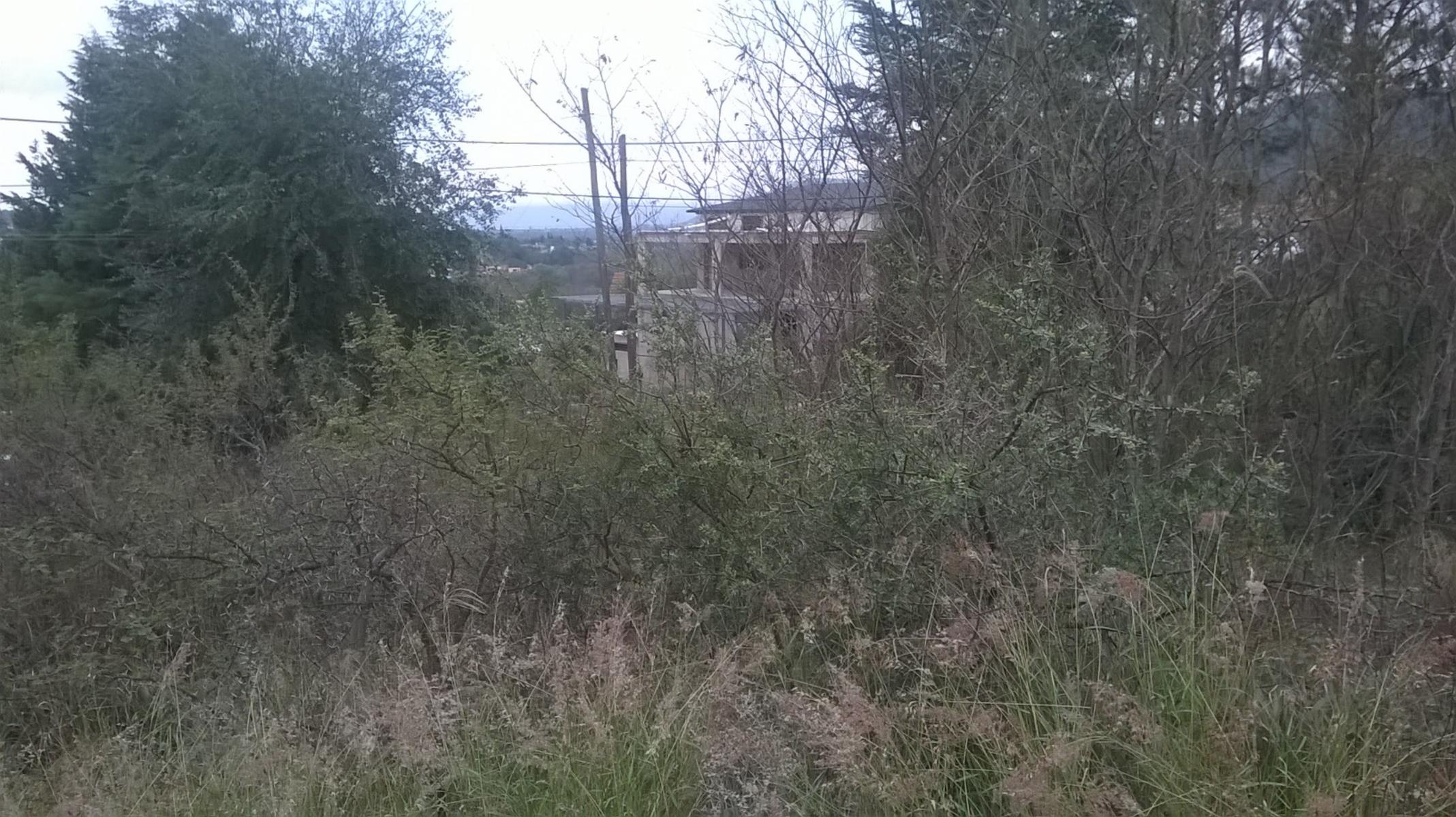 a metros de la ruta, los espinillos · Punilla — foto 4