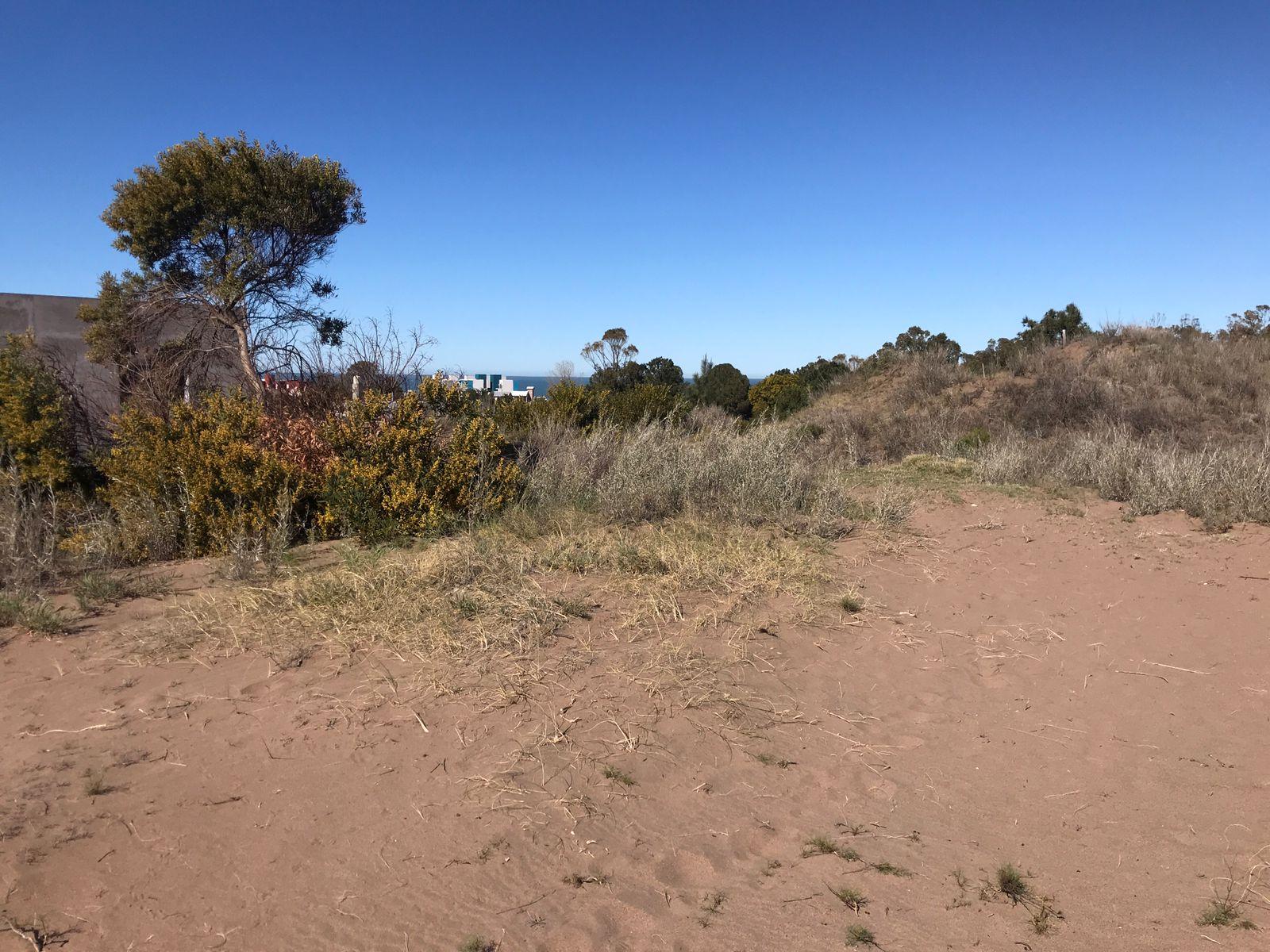 zuchiatti · Monte Hermoso — foto 13