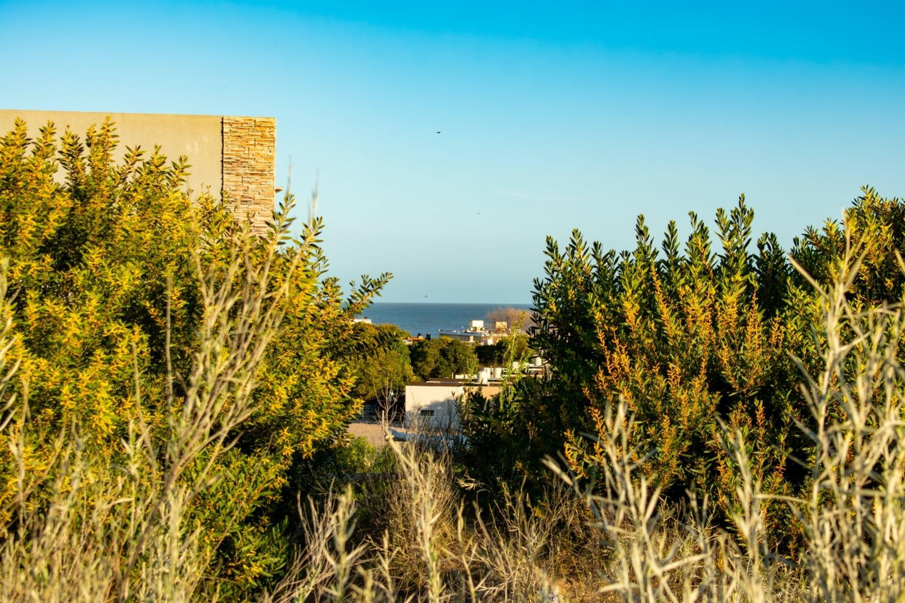 zuchiatti · Monte Hermoso — foto 19