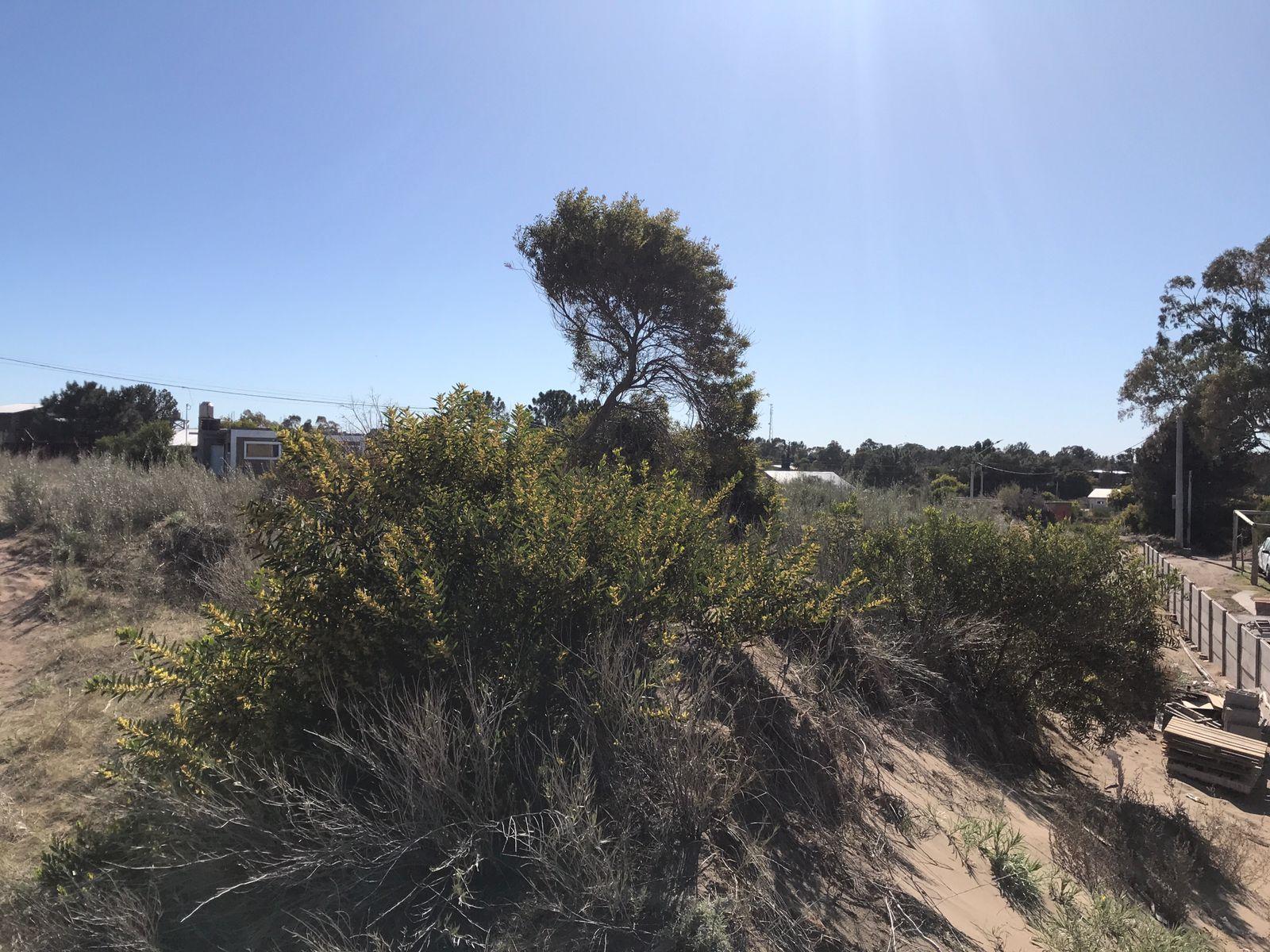 zuchiatti · Monte Hermoso — foto 7