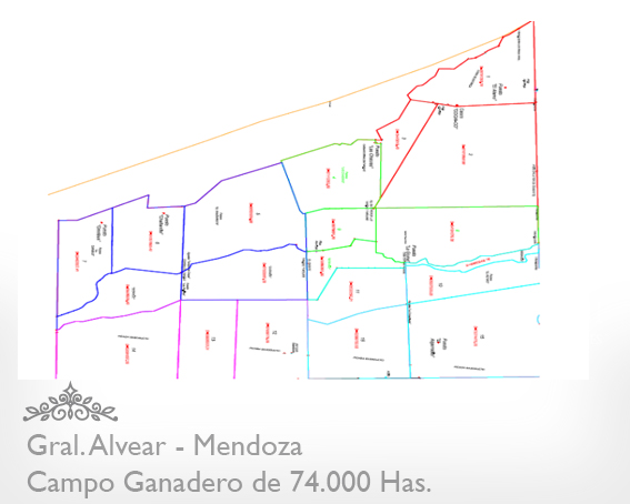Mendoza - 74.000 Hectáreas ganaderas en Mendoza, en el límite con La Pampa.  Luz Eléctrica - Instalaciones Ganaderas  - Casa Principal y de Encargado/Puesteros. Para 7000 vientres
