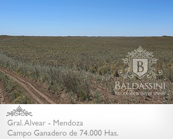 74.000 has. sobre Ruta 143 - Cochico - Mendoza · General Alvear — foto 3