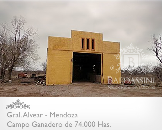 74.000 has. sobre Ruta 143 - Cochico - Mendoza · General Alvear — foto 6