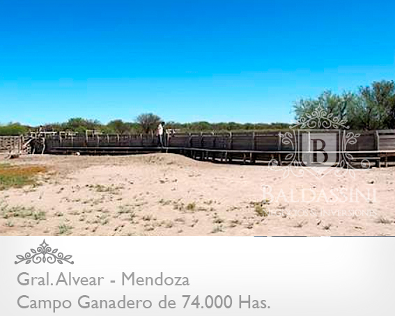 74.000 has. sobre Ruta 143 - Cochico - Mendoza · General Alvear — foto 7
