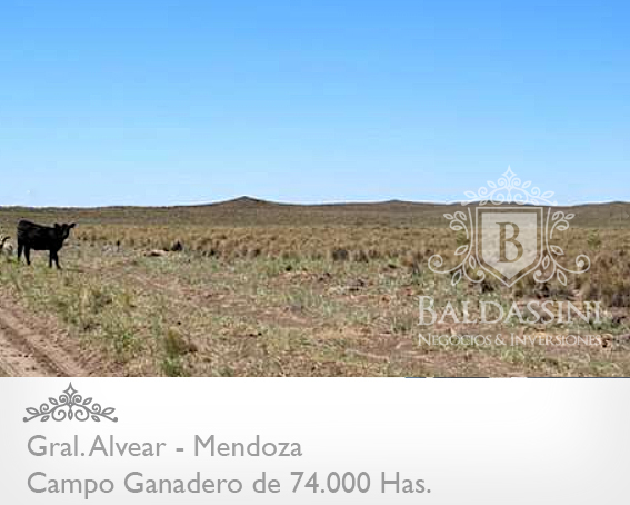 74.000 has. sobre Ruta 143 - Cochico - Mendoza · General Alvear — foto 8