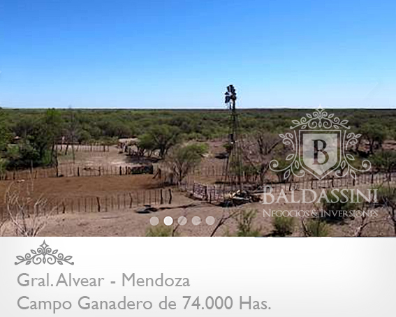 74.000 has. sobre Ruta 143 - Cochico - Mendoza · General Alvear — foto 9
