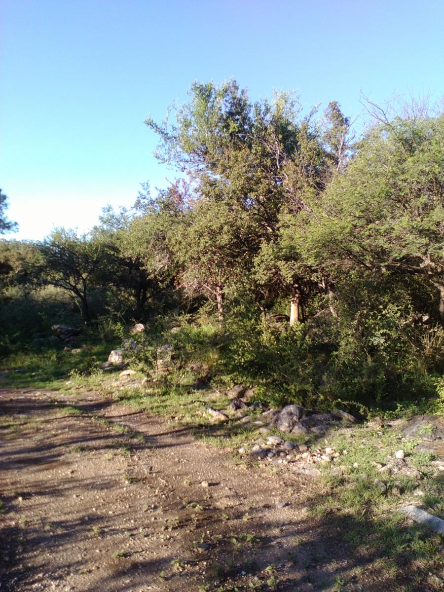 LA TRAVESIA · San Javier — foto 3