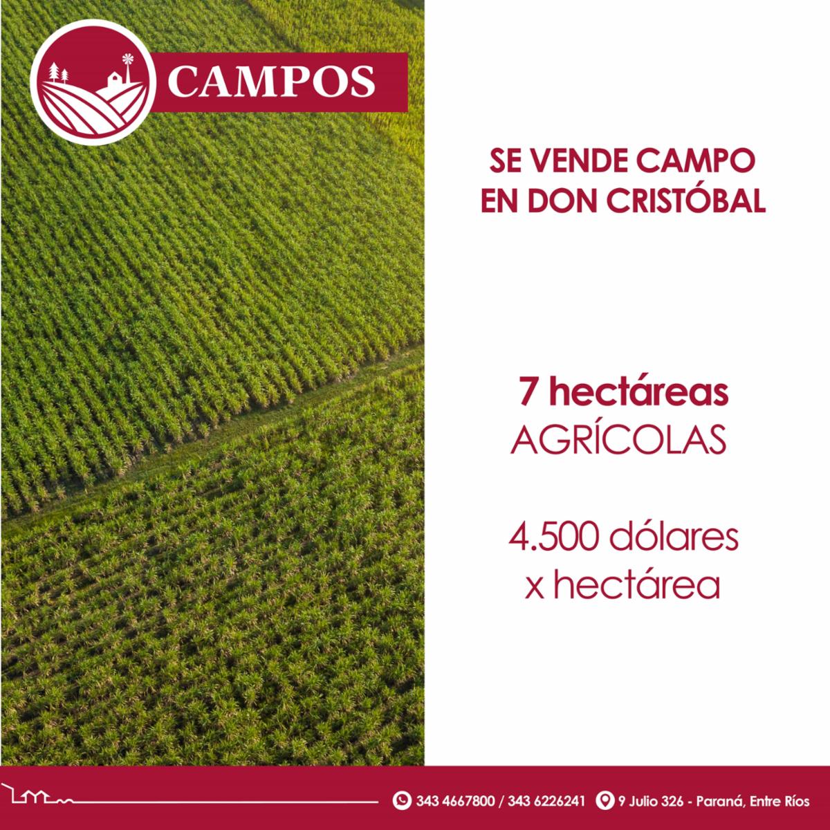 Se vende campo en Don Cristóbal