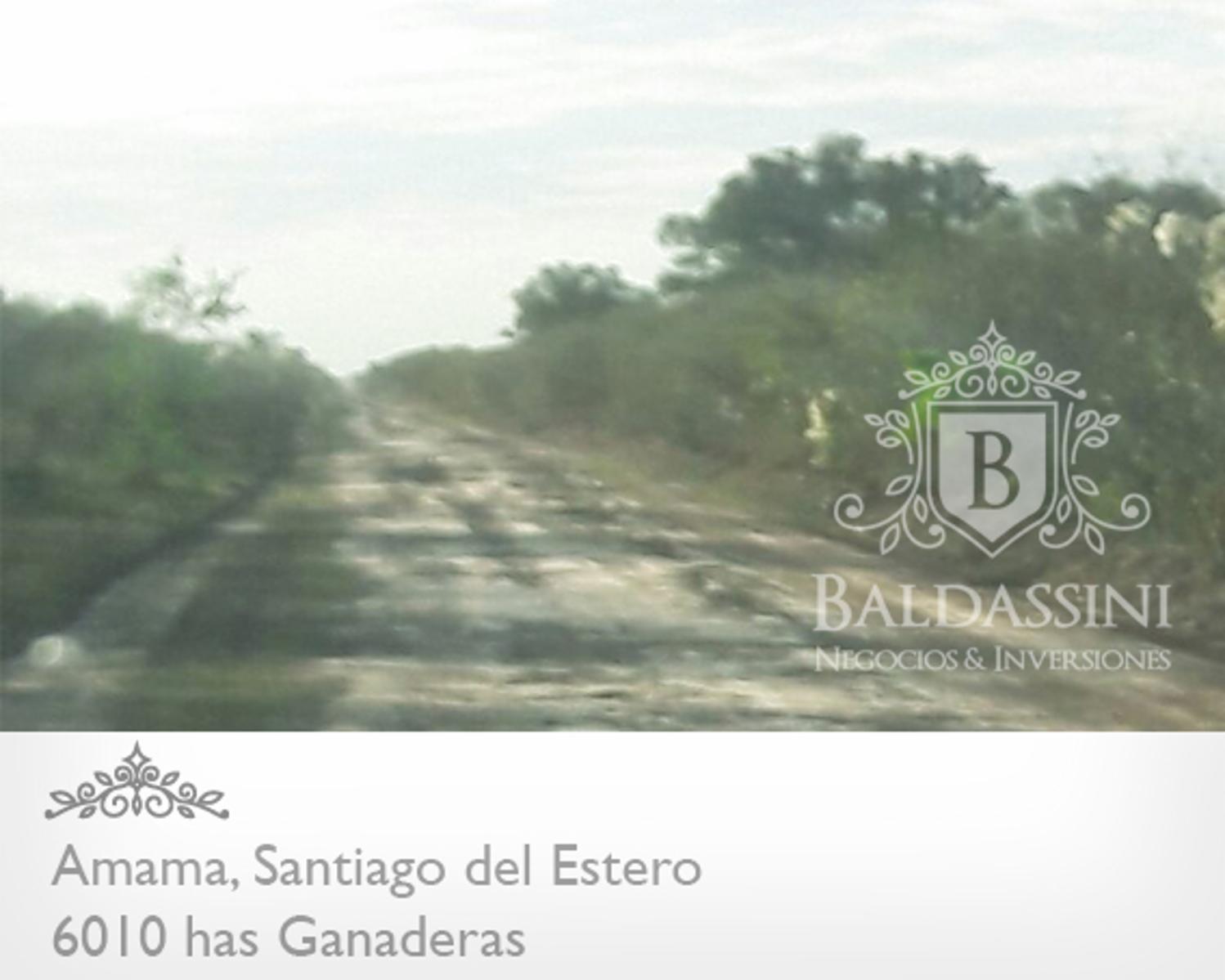 CAMPO GANADERO  DE 6010 HAS EN AMAMA (9 DE JULIO) SOBRE LA CONTINUACIÓN DE RUTA 103 Y RUTA 46 - CAMPO ALAMBRADO - LISTO PARA ESCRITURAR. 400 HAS CON GATTON PANIC. 