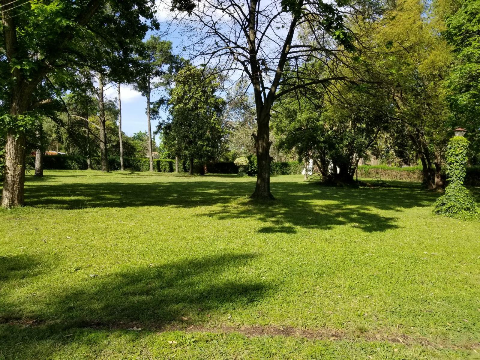 S · Moreno — foto 4