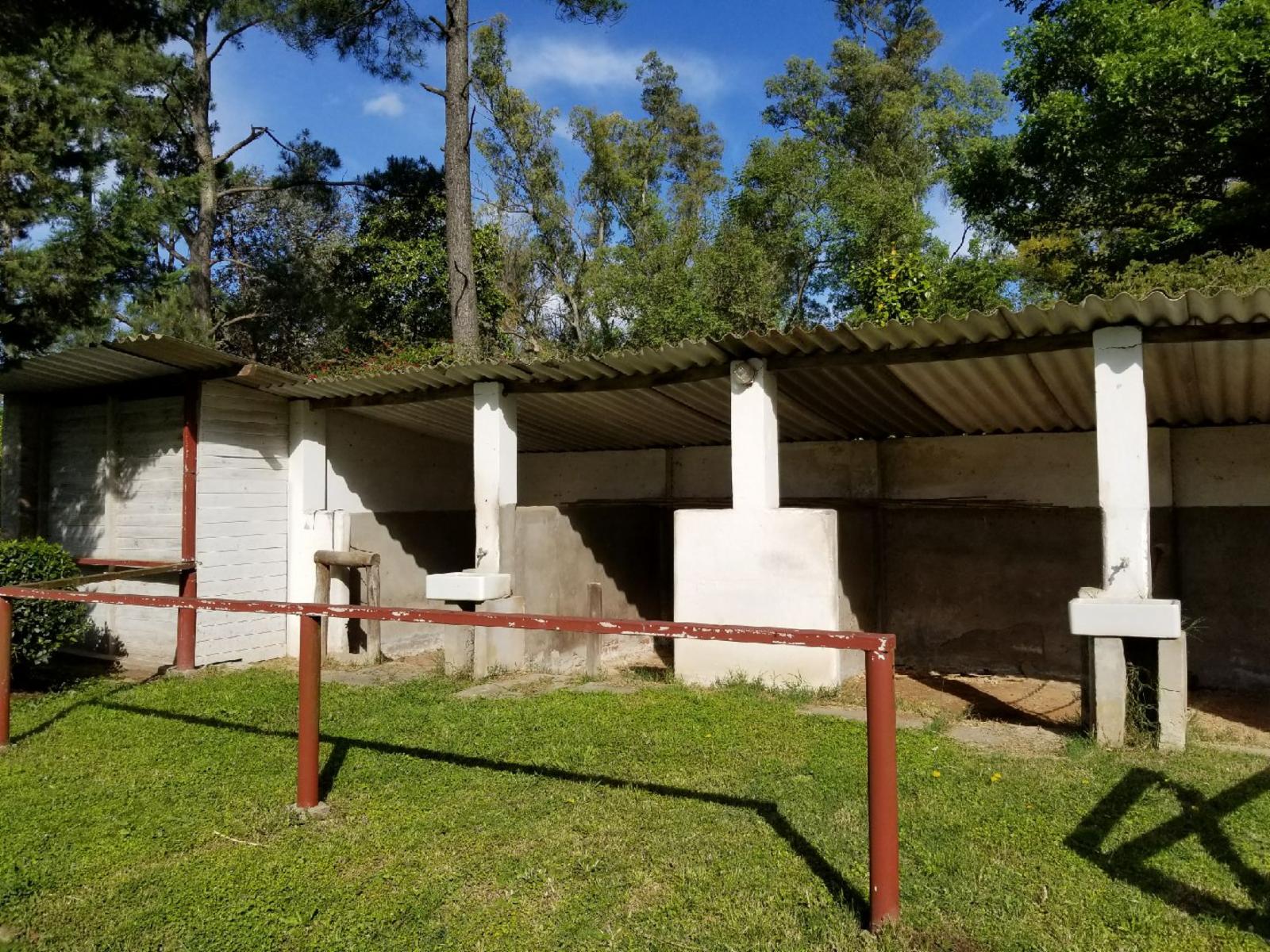 S · Moreno — foto 9
