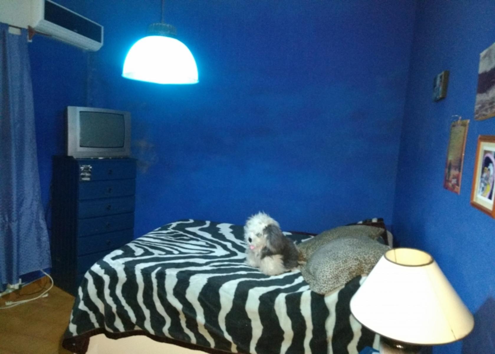 MARCOS DE AVELLANEDA N°950 · Morón — foto 8