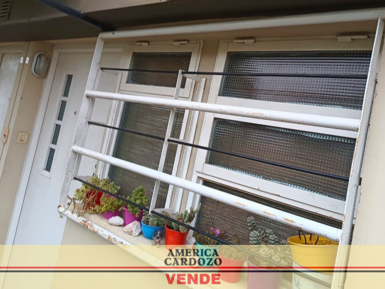 DASTUGUE 2164 · Moreno — foto 4