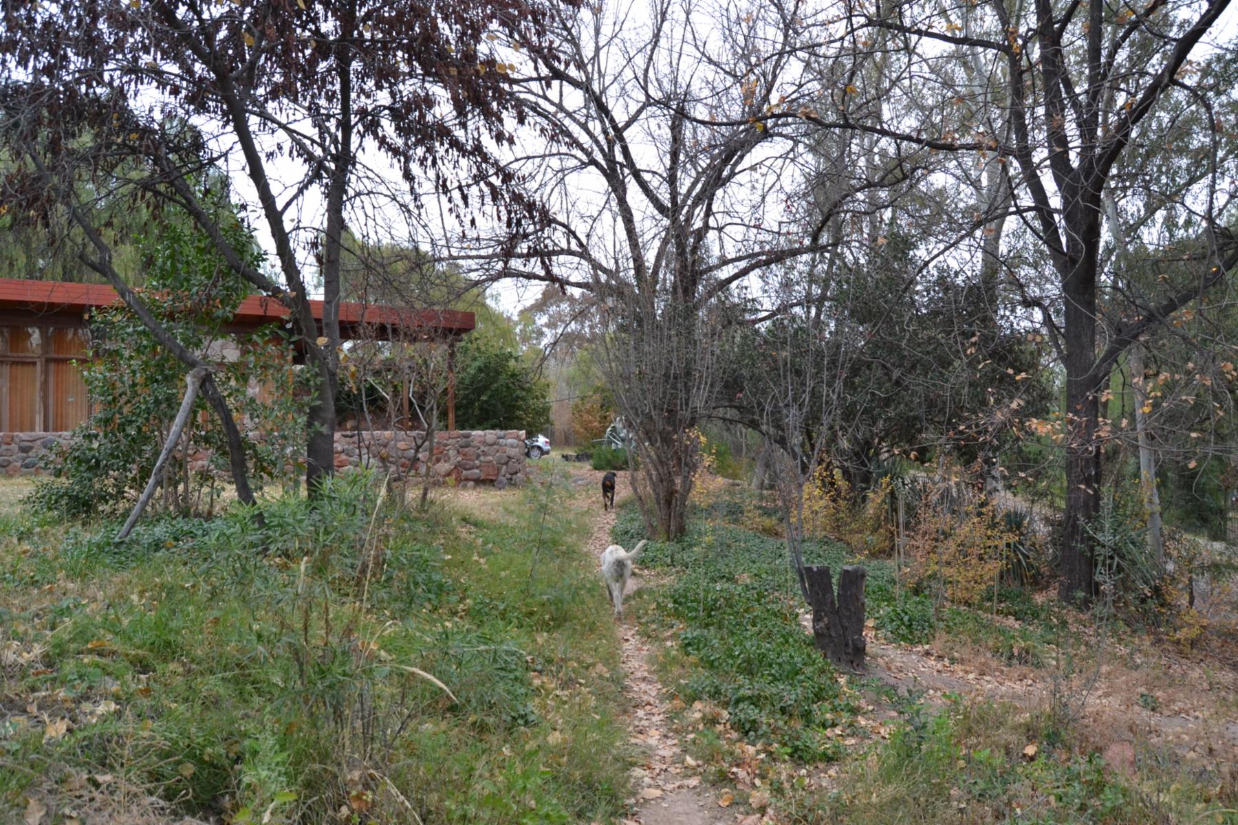 terreno cristo blanco http://wikimapia.org/#lang=en&lat=-33.034283&lon=-68.807373&z=14&m=w&show=/36914638/es/LOTE-CRITO-BLANO · Maipú — foto 4