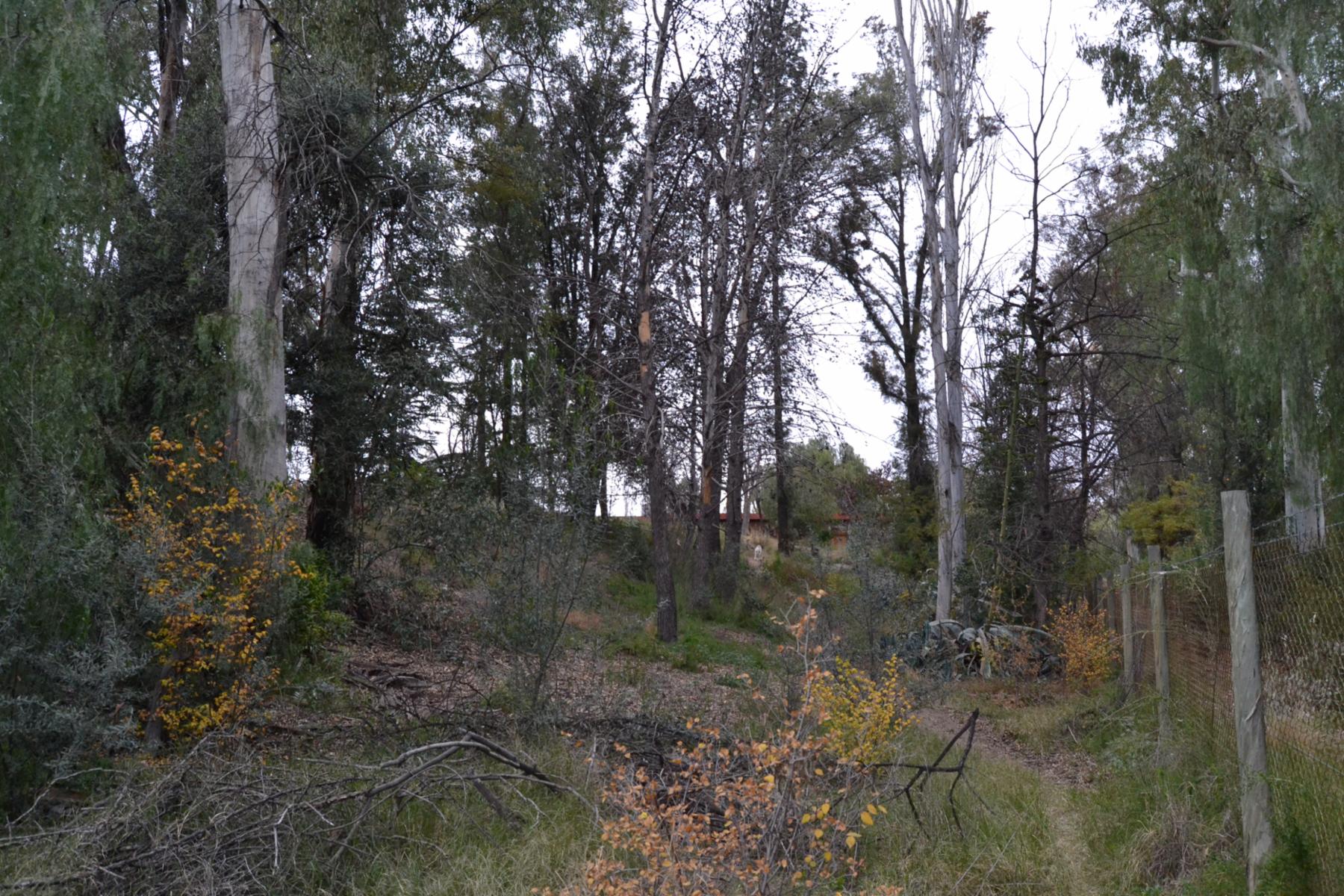 terreno cristo blanco http://wikimapia.org/#lang=en&lat=-33.034283&lon=-68.807373&z=14&m=w&show=/36914638/es/LOTE-CRITO-BLANO · Maipú — foto 5