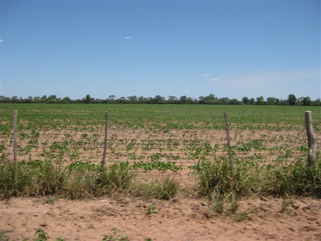 CAMINO PÚBLICO S/N° · Anta — foto 3