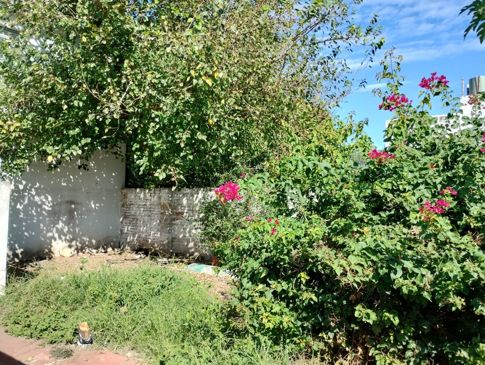 Gdor Freyre 1160 · La Capital — foto 13