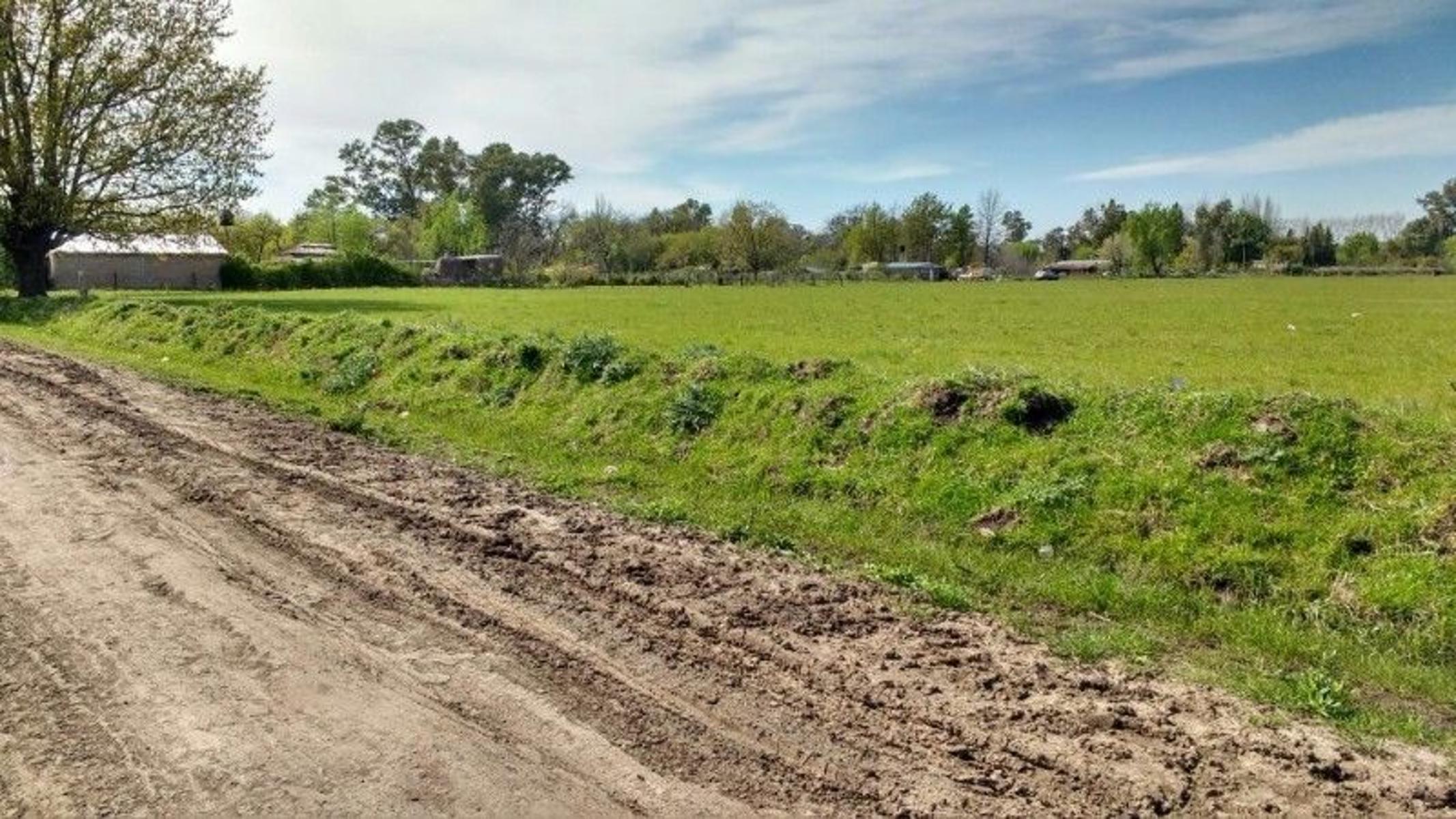 Arroyo correntino · General Rodriguez — foto 3