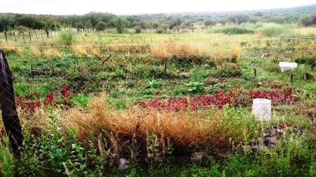 Ruta 2 · Ayacucho — foto 6