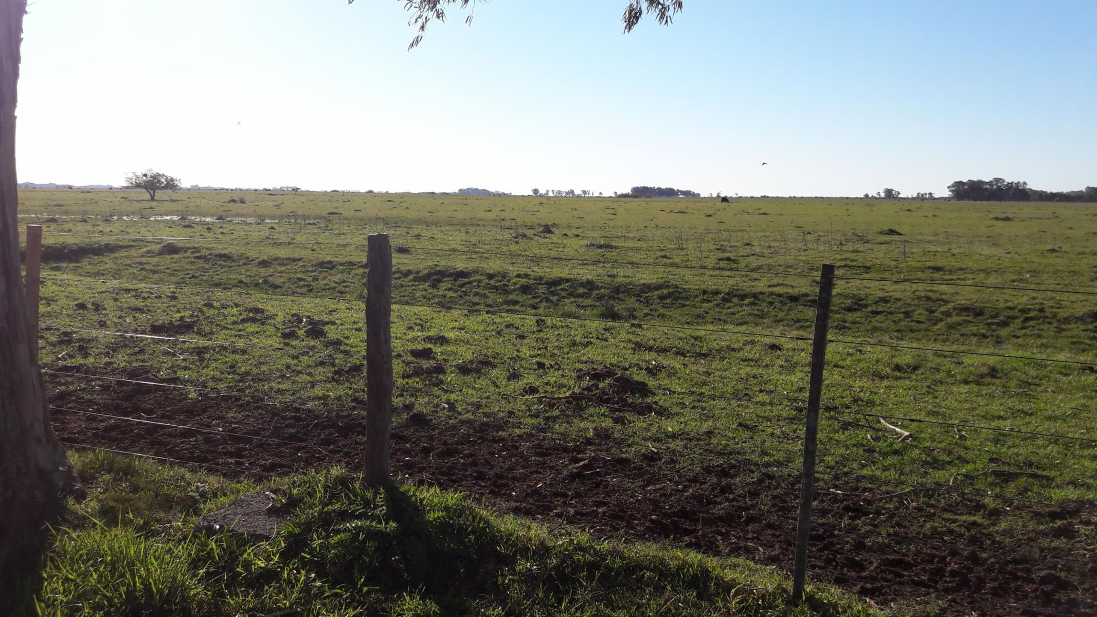 CAMPO en VENTA 570 hectáreas en PUNTA INDIO