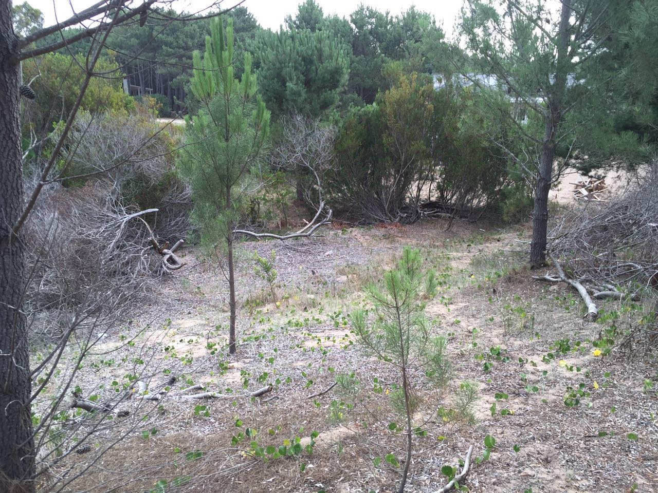 Lote en venta en DEPORTIVA II   Costa del Este