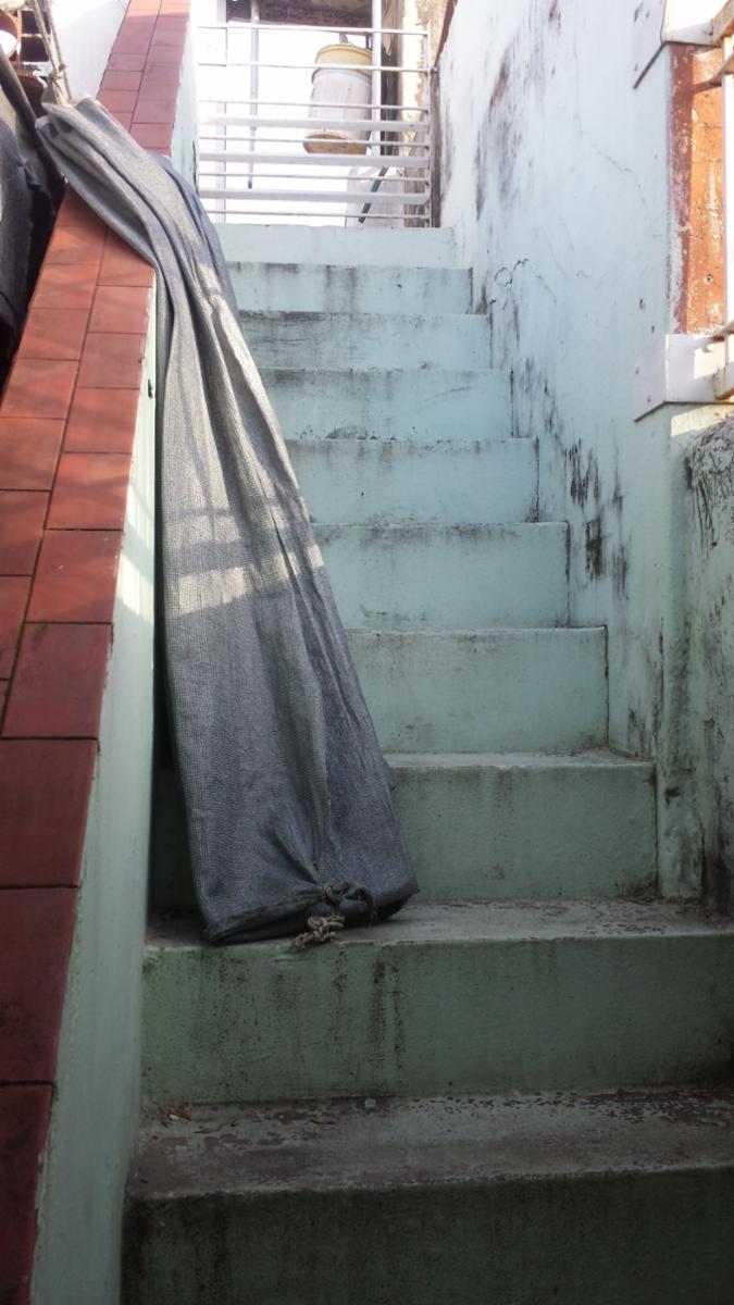 AYOLAS 300 · Rosario — foto 23