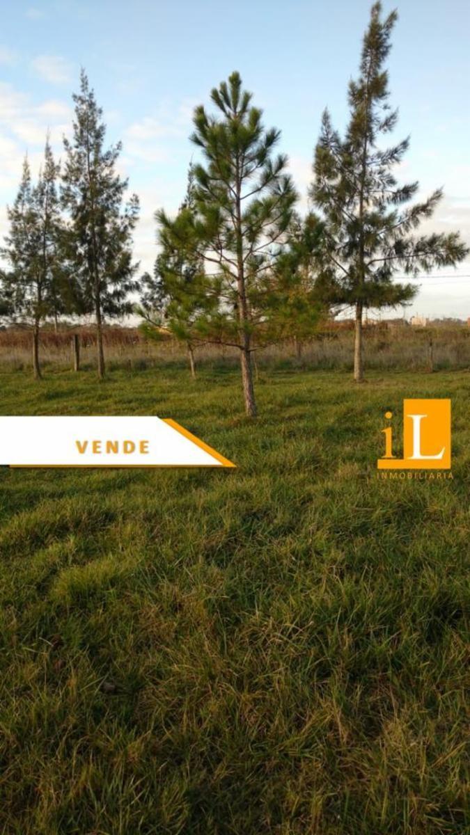 LOTES CON FINANCIACION EN Bº LAS ACACIAS - SOBRE RUTA 210 - BRANDSEN