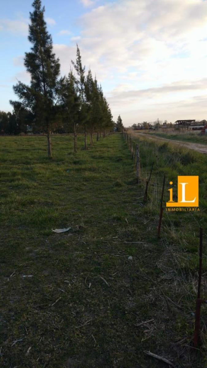 Ruta 210 · Brandsen — foto 6
