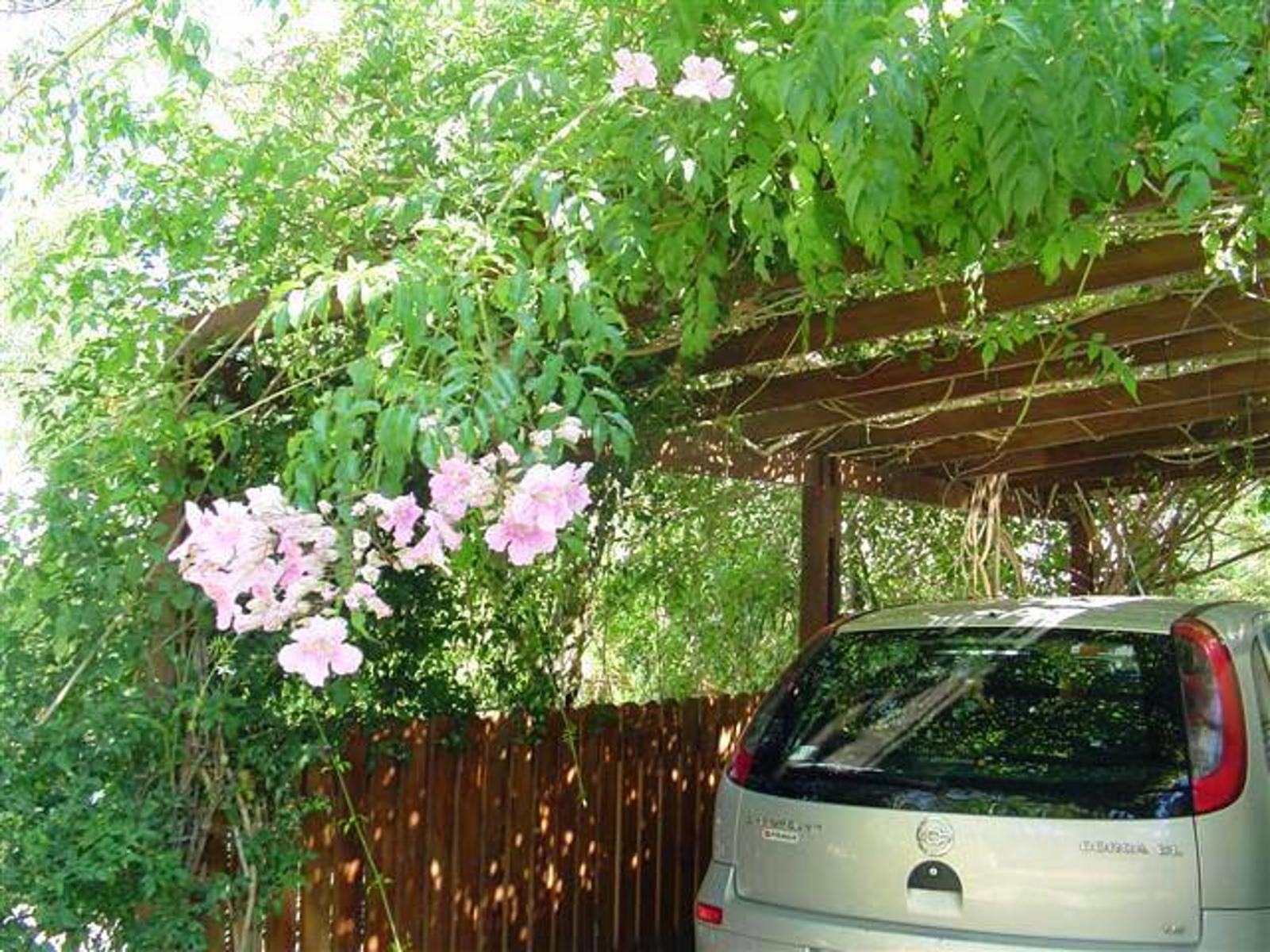 Del Besugo 1100 · Pinamar — foto 13