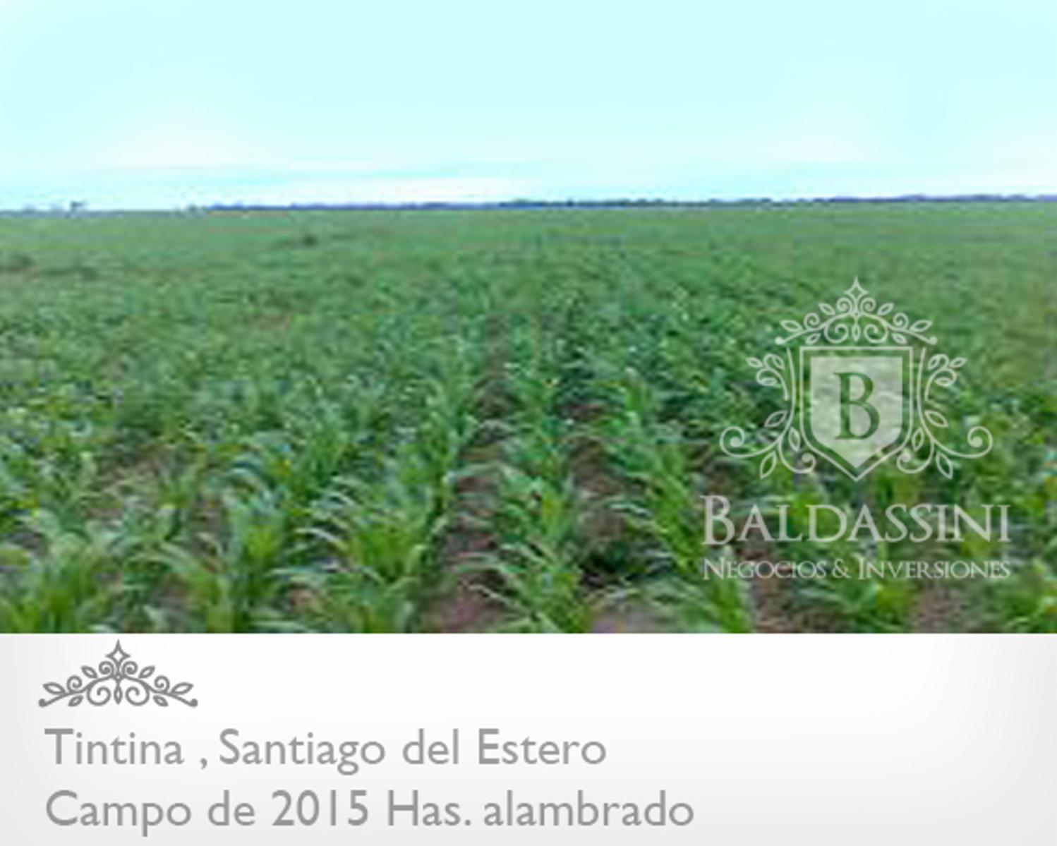 2015 HAS. A 10 KM DE RUTA 5 · Moreno — foto 4