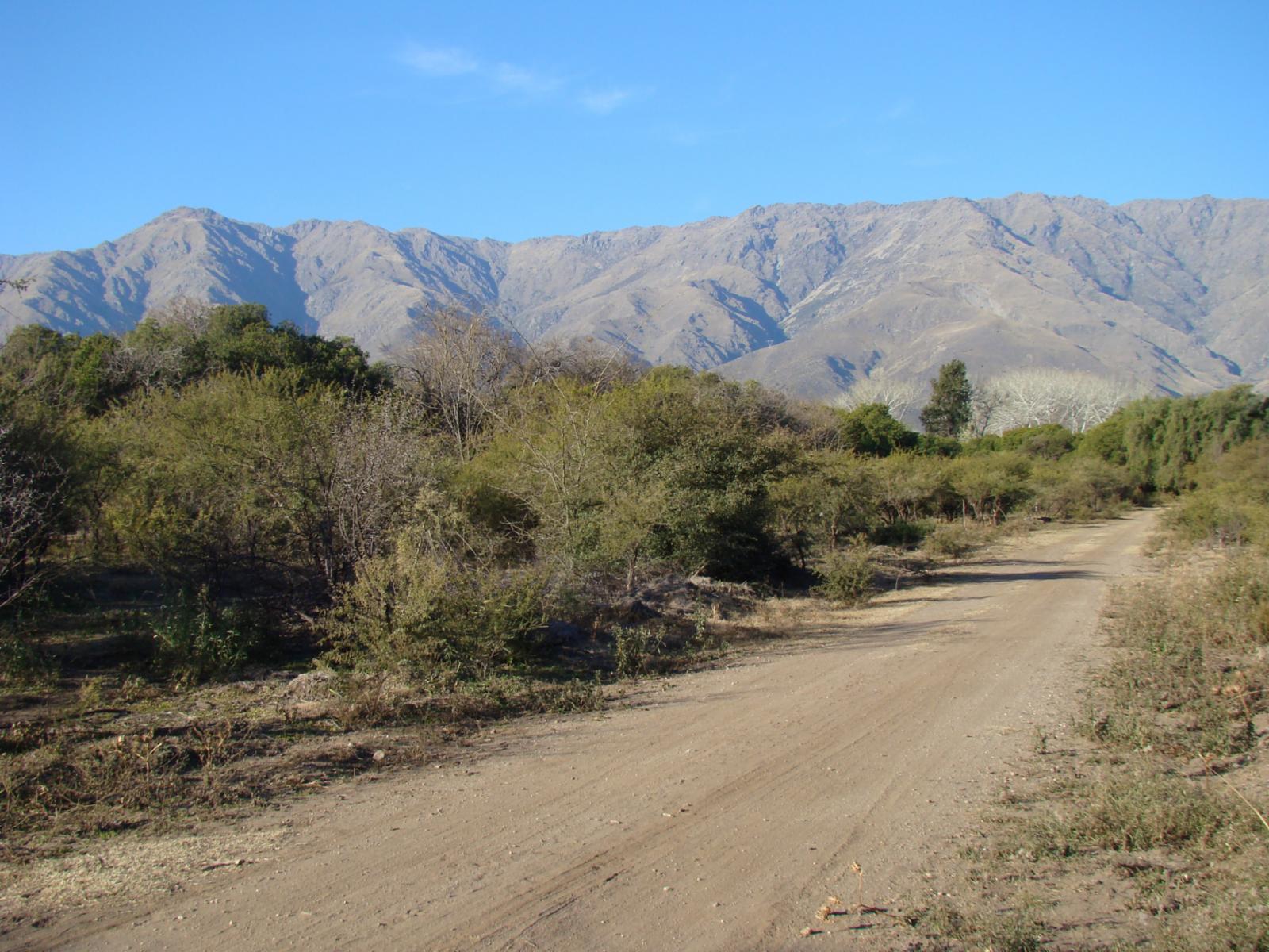 La Población · San Javier — foto 3