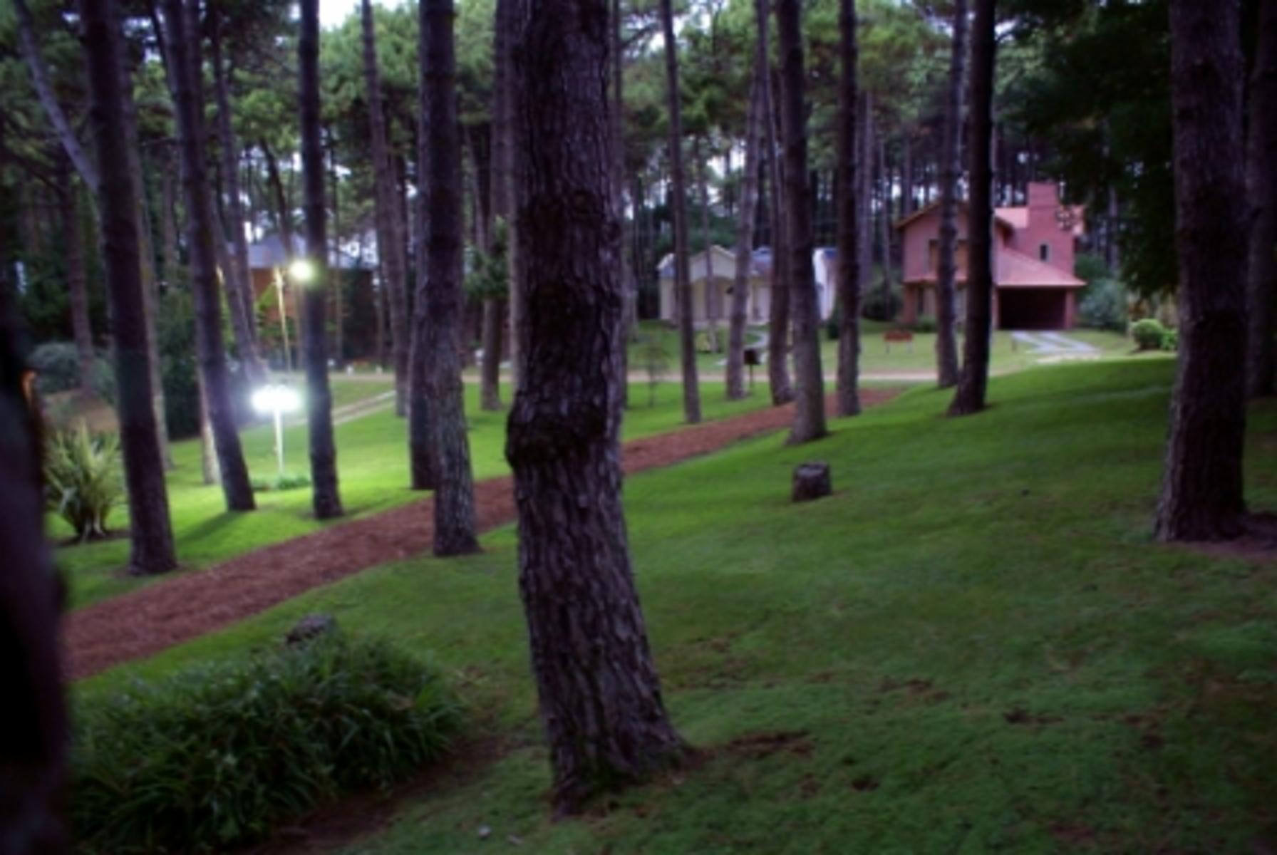 De Las Garzas al 400 · Pinamar — foto 13