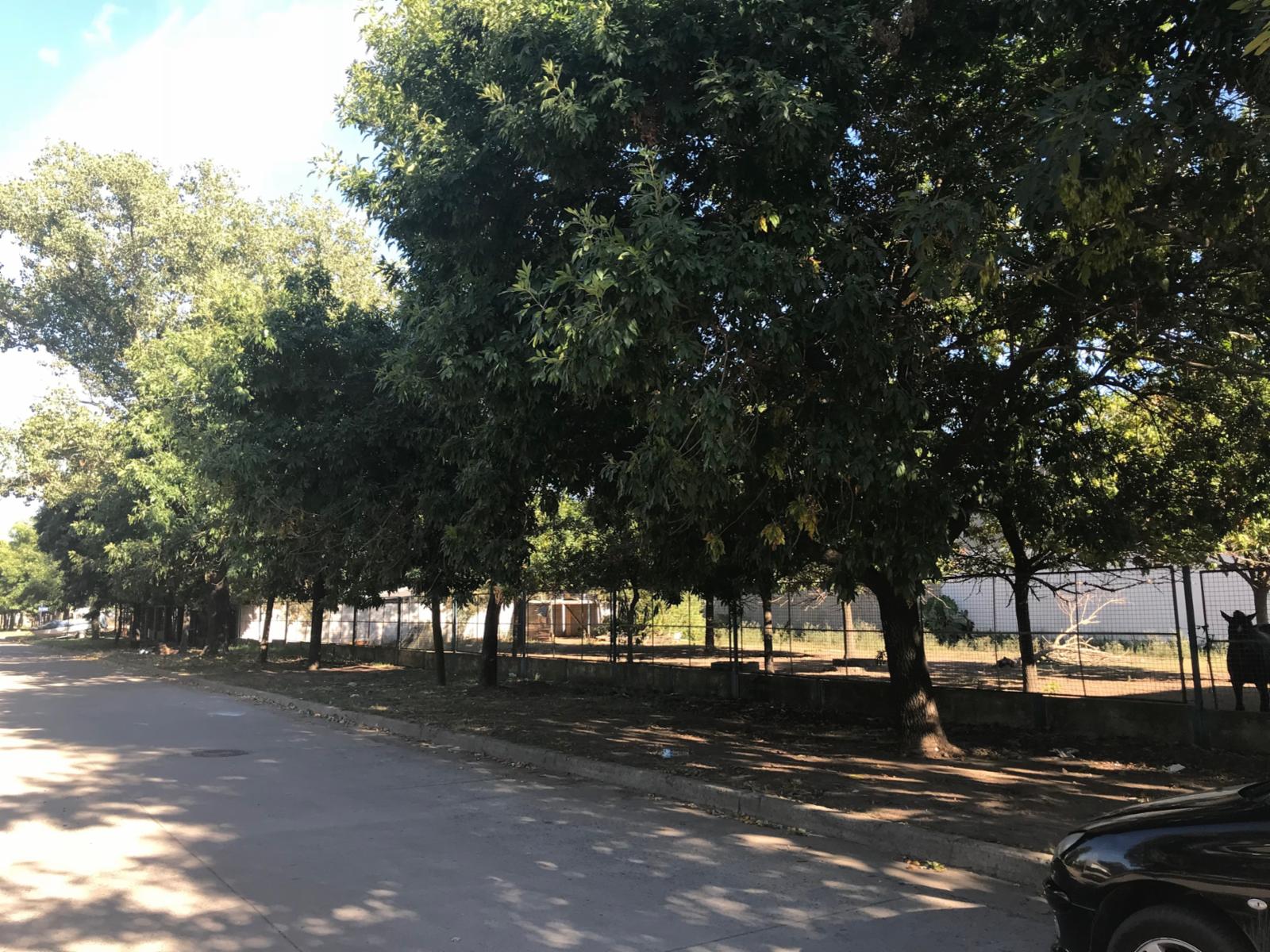 Colectora Ruta 11 km5 · San Lorenzo — foto 5