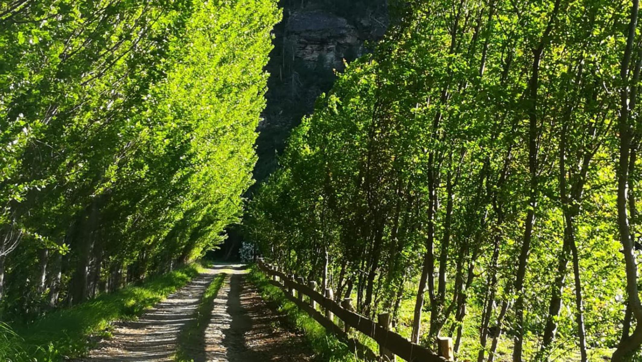 RUTA 40 · Cushamen — foto 11