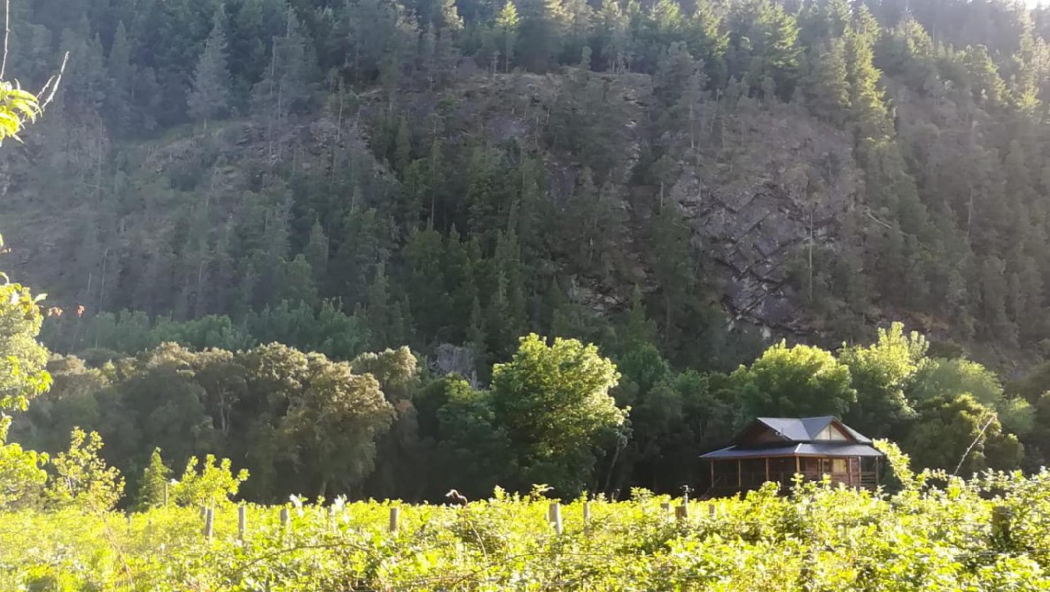 RUTA 40 · Cushamen — foto 13