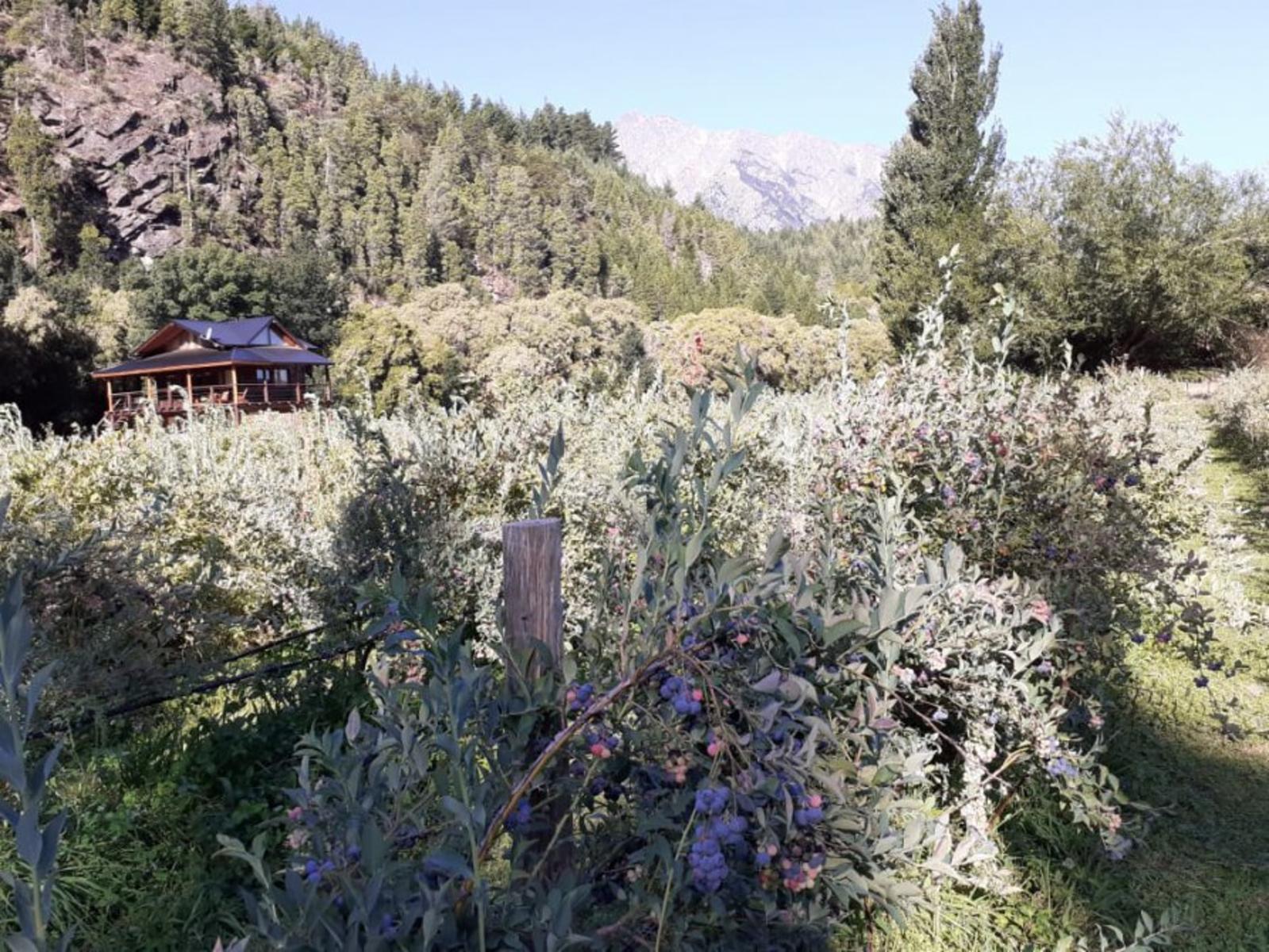 RUTA 40 · Cushamen — foto 8
