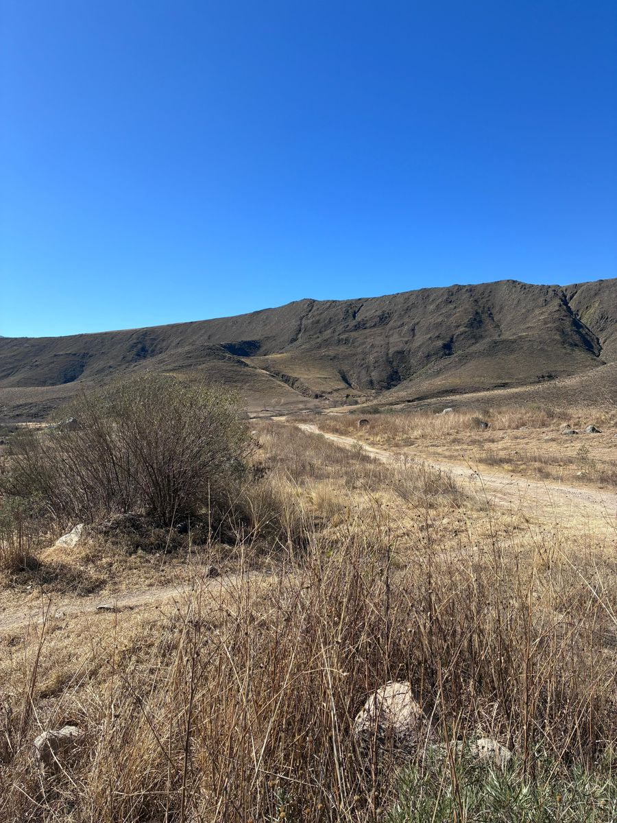 EN VENTA LOTES DE 4800 Y 5500 M2 EN EL RODEO, TAFI DEL VALLE · Tafí del Valle — foto 3