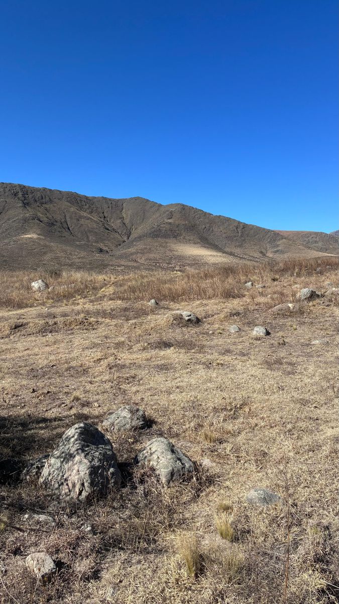 EN VENTA LOTES DE 4800 Y 5500 M2 EN EL RODEO, TAFI DEL VALLE · Tafí del Valle — foto 4