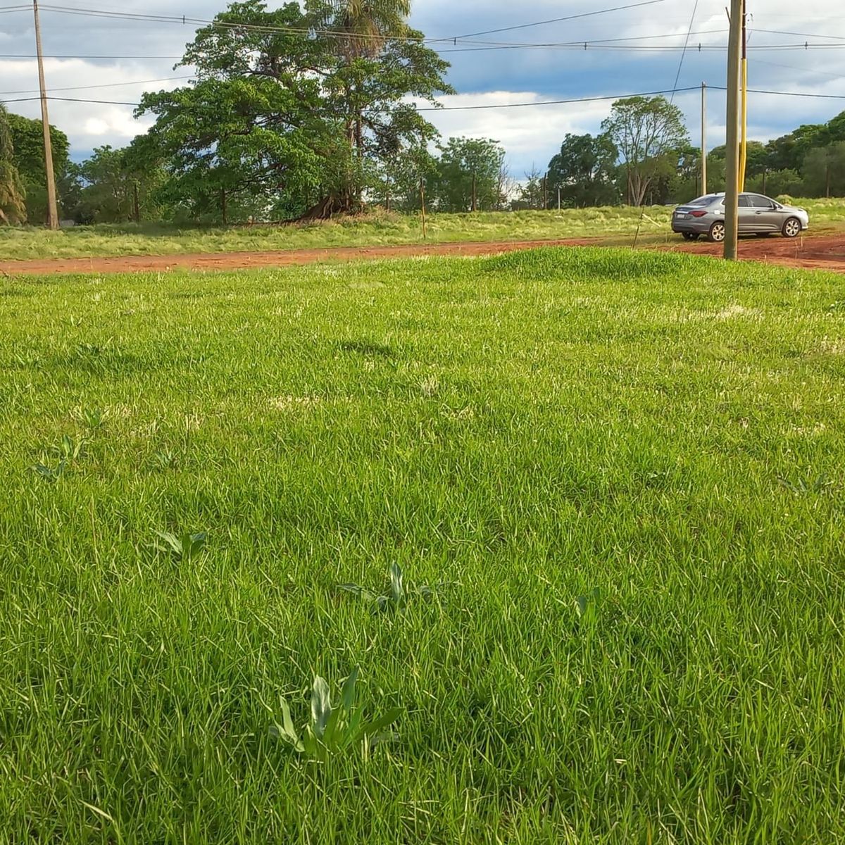 Av. de las Americas · Oberá — foto 3
