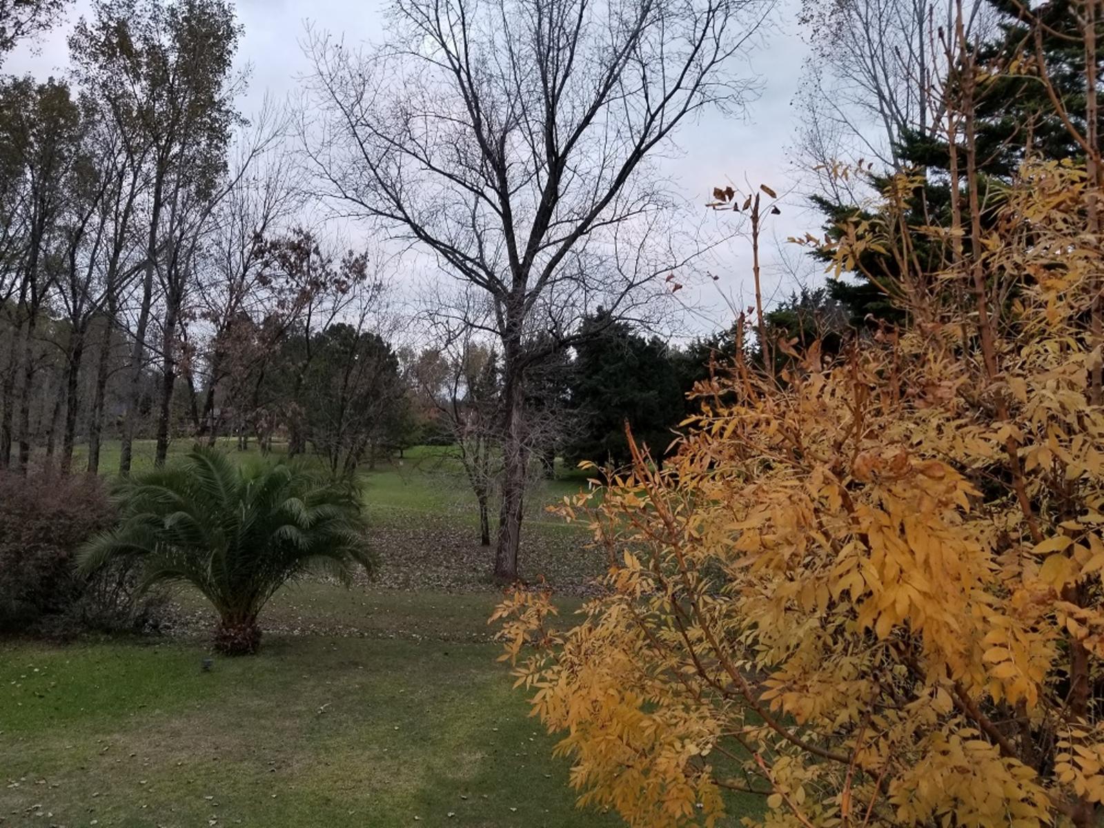 A METROS COLECTORA ACCESO OESTE PUENTE -  DOS FRACCIONES DE 2200 m2. CADA UNA - VENTA CONJUNTO 4400 EXCELENTE OPORTUNIDAD PARA GALPONES VARIOS DESTINOS NOVOA PROPIEDADES