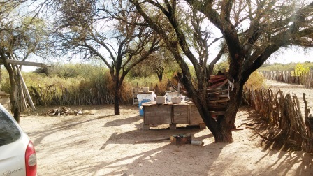 Venta Campo 300 ha - Ruta Nacional 147 – La Calera – San Luis