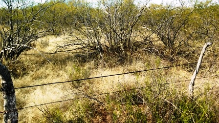 Ruta Nacional 147 · Belgrano — foto 20