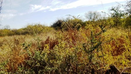 Ruta Nacional 147 · Belgrano — foto 3