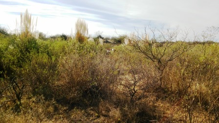 Ruta Nacional 147 · Belgrano — foto 25
