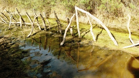 Ruta Nacional 147 · Belgrano — foto 26